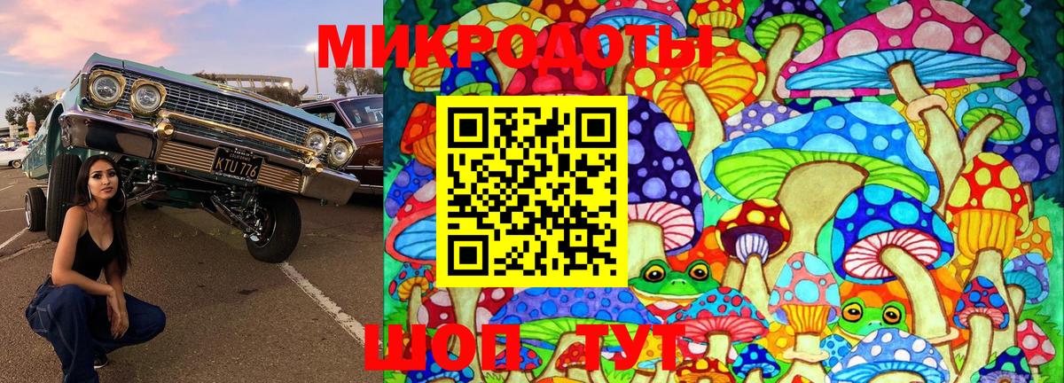 Галлюциногенные грибы мухоморы Кимры
