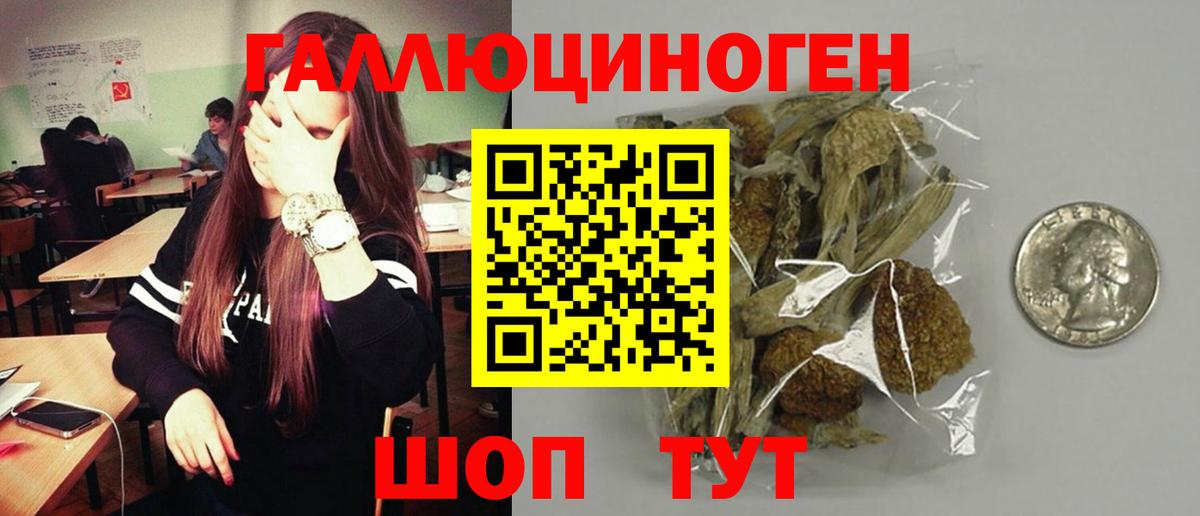 Псилоцибиновые грибы Psilocybe  Вход с VPN  цена наркотик  Кимры 